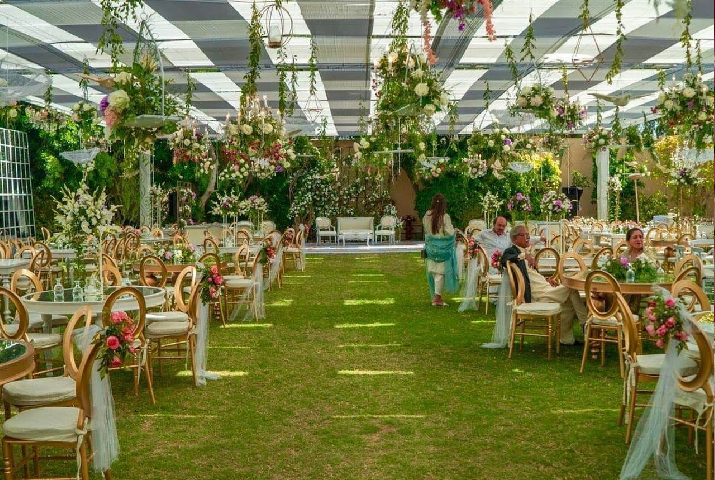 wedding